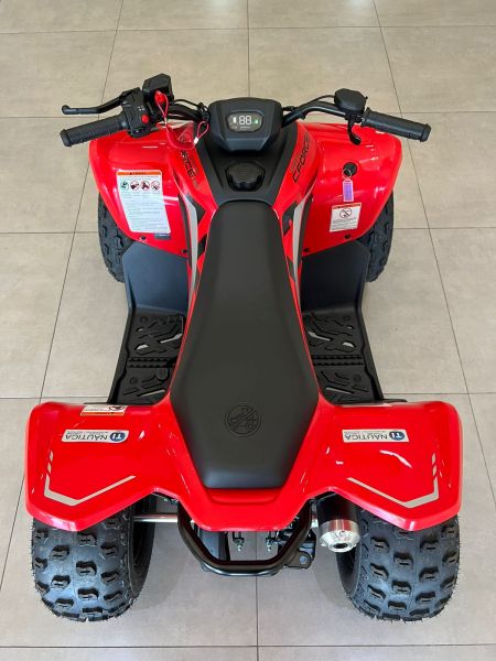 Cforce 110 2024